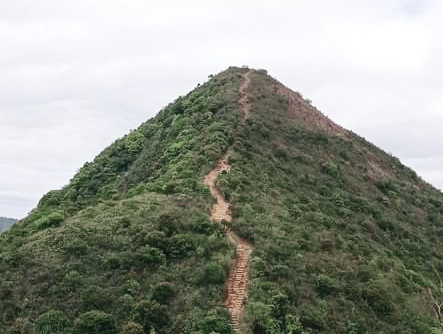針山