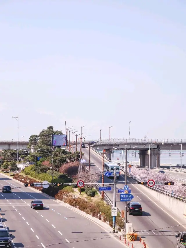 벚꽃 구경하기 좋은 부산 구포역