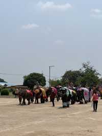 พิพิธภัณฑ์ช้างที่ใหญ่ที่สุดในไทย