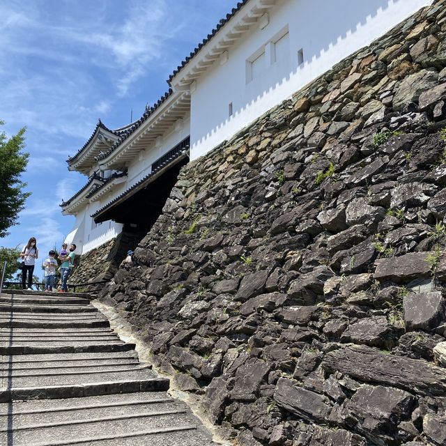 【和歌山】和歌山城