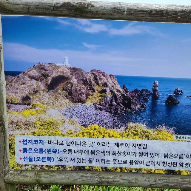 제주 서귀포 섭지코지