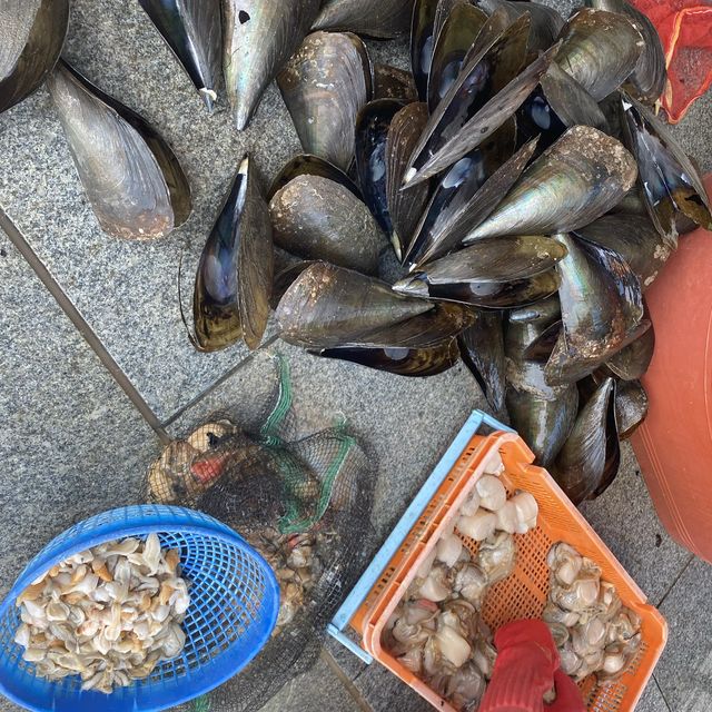 맛으로 멋으로~ 충남 보령 (오천,대천)1박2일 여행