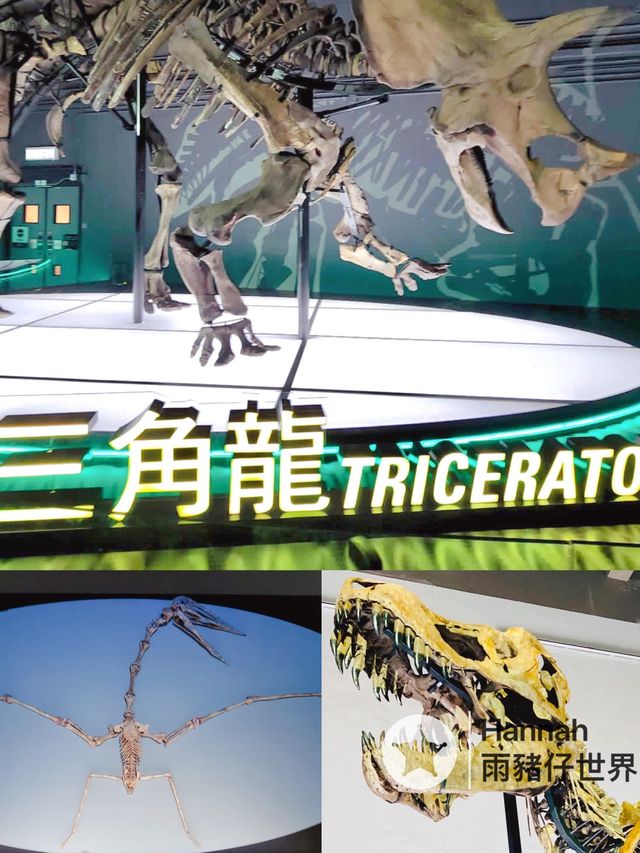 召集恐龍迷
