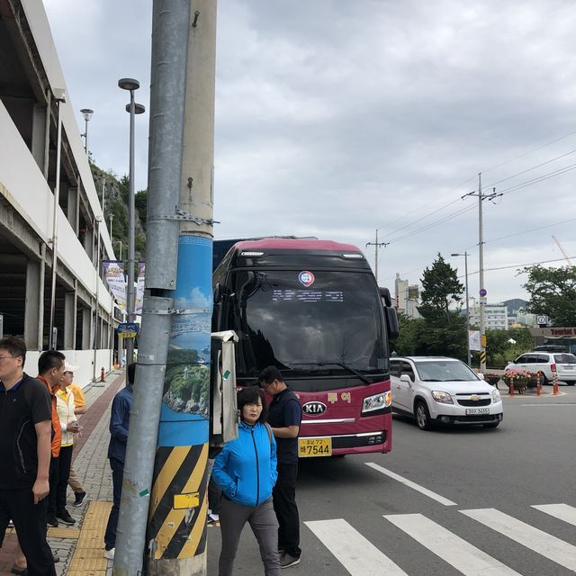 여수에서 해상케이블카 타고 오동도 둘러보기! 