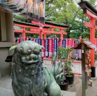 【大阪 中央区】高津神社で獅子舞？？！