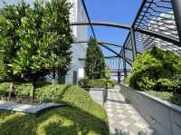 Picturesque rooftop garden