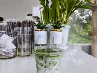 คาเฟ่เก๋ๆ@Moo Yoo