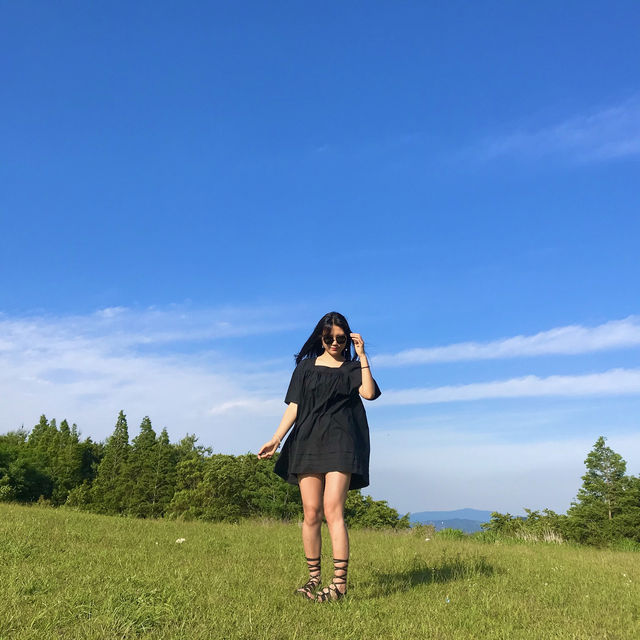 [경북/경주]경주에서 인생샷과 피크닉을 한 번에!❣️