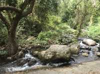 Mesmerizing Day tour at Doi Suthep Pui