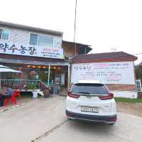 보약처럼 먹는 오리고기 명가!! 약수농장🍽