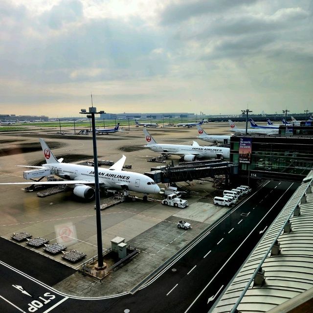 พาเที่ยว JFK Airport