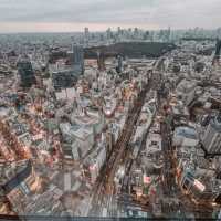Tokyo in 5days