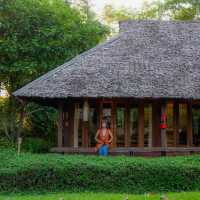 ที่พักเชียงดาว นอนชิล ฟิลธรรมชาติ