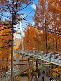 가을에 꼭 가야하는 장태산자연휴양림 🍁