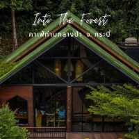 คาเฟ่ซ่อนตัวอยู่ท่ามกลางป่าเขาธรรมชาติ