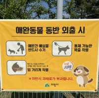 의왕 왕송호수 무료 반려견놀이터