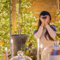 🎄크리스마스 요정들이 살것같은 [서울, 더현대 H빌리지]
