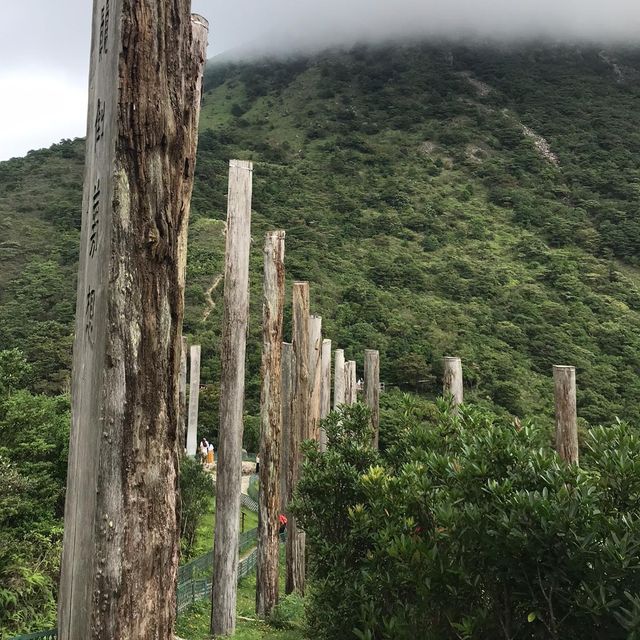 心經簡林