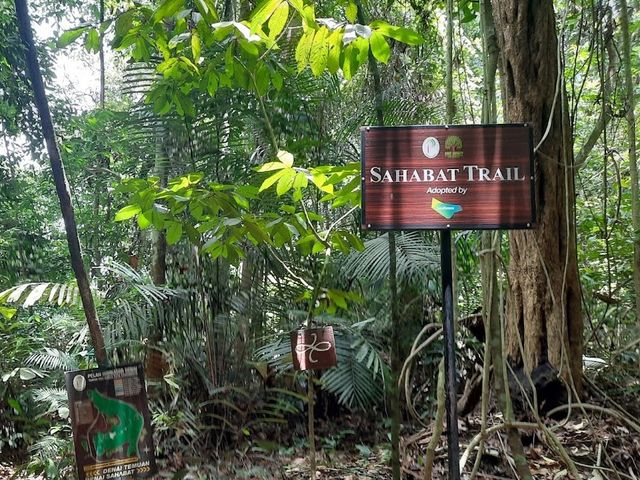 Damansara Community Forest Reserve🌲