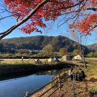 日本 最美的還是風景🍁🌼🗻