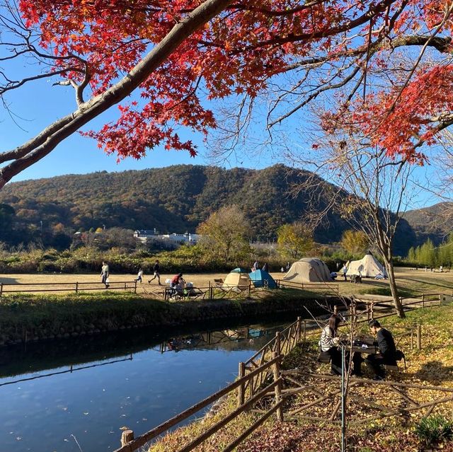 日本 最美的還是風景🍁🌼🗻