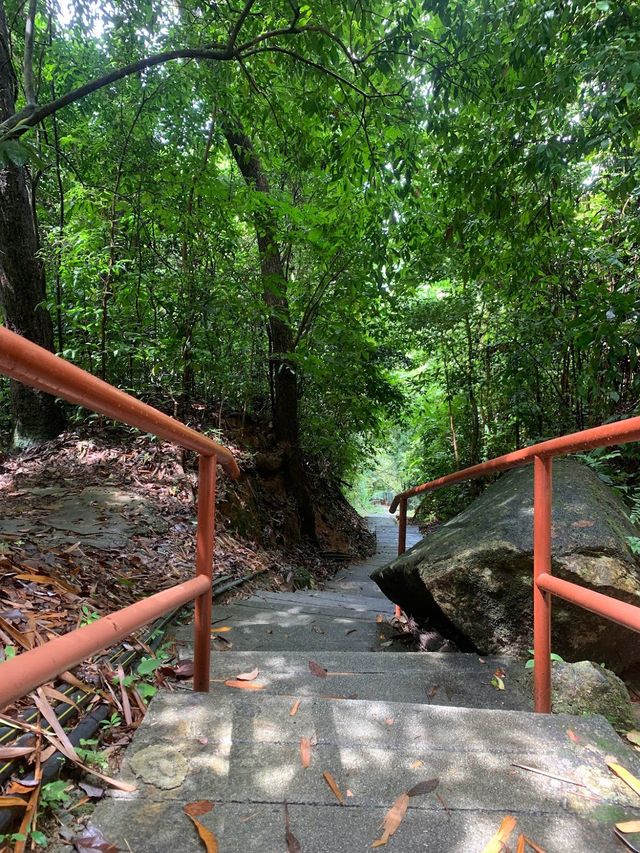 Penang Hill Hike 👣🍃