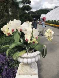 ; ROYAL FLORIA PUTRAJAYA.🌸