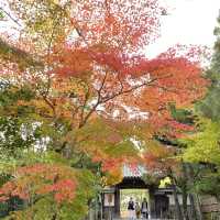 東山文化的始源 – 銀閣寺