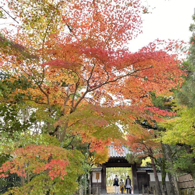 東山文化的始源 – 銀閣寺