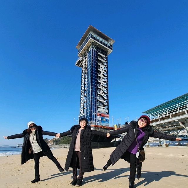 대천해수욕장에서 걸어서 10분이면 대천항 수산시장이다.