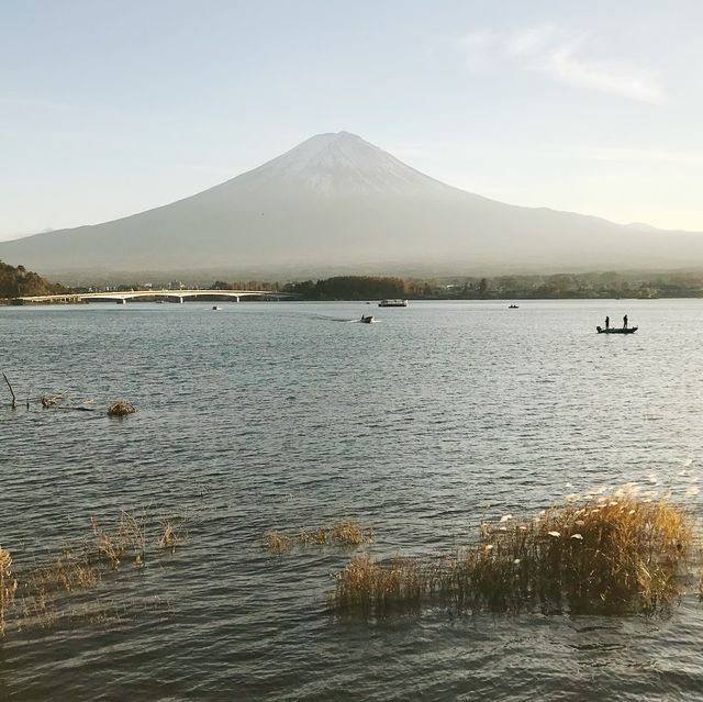Fuji Lake Hotel🗻🏨