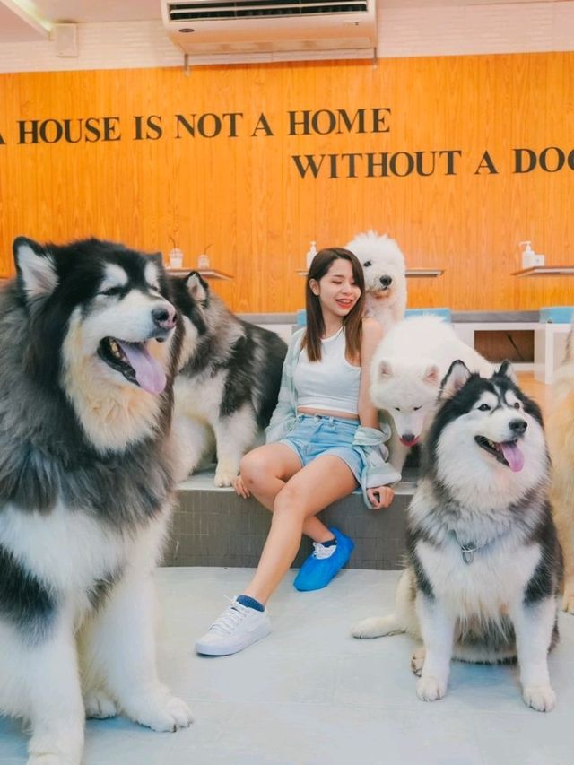 Husky House Cafe ชลบุรี