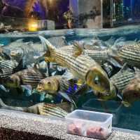 Aquaria KLCC