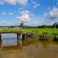 ทุ่งนา สะพานไม้ ใบเสมาหินโบราณ เต่างอย สกลนคร