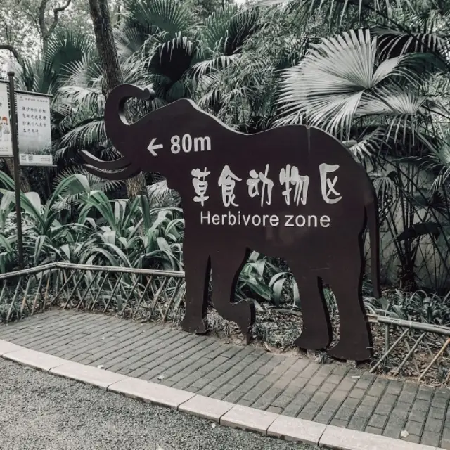 The Chongqing Zoo and Dinosaur Park