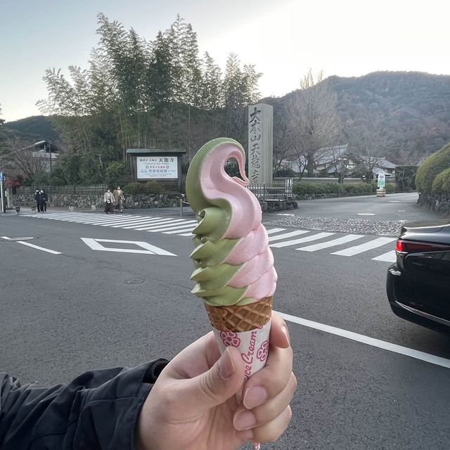 不可錯過的嵐山美景