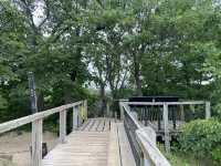 Trail 4 - Indiana Dunes State Park 