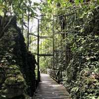 Niah National Park - Borneo, Malaysia