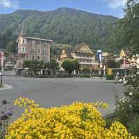 Weggis - lake and mountain