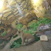 Amazing zooalogical museum 