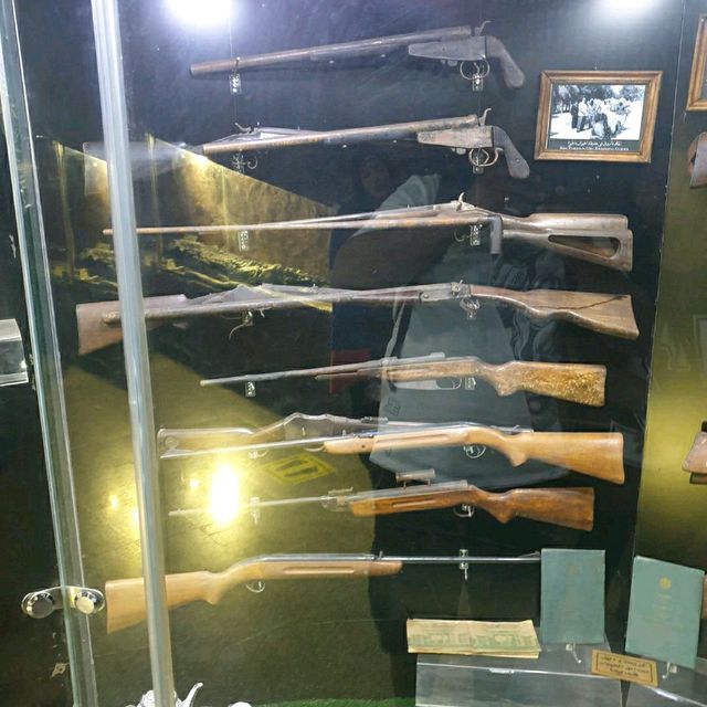 Wow The animal museum
