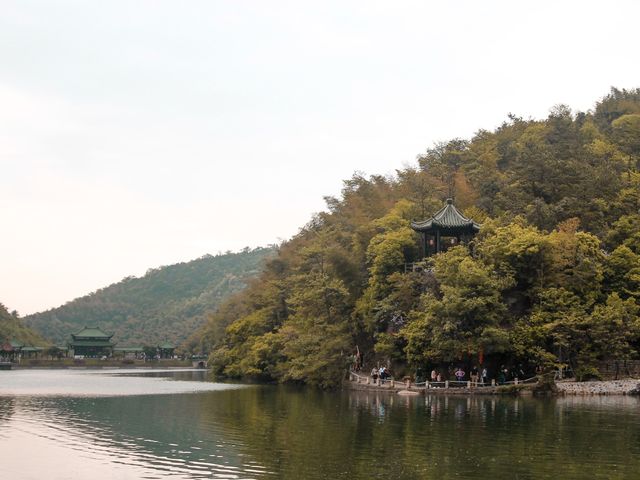 Visit to the Yixing bamboo forest! 🎋🎋