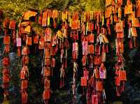 Exploring the Kylin Cave at Qianling Mountain