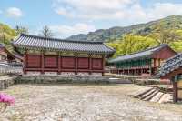 땅끝마을 세계문화유산 '대흥사'