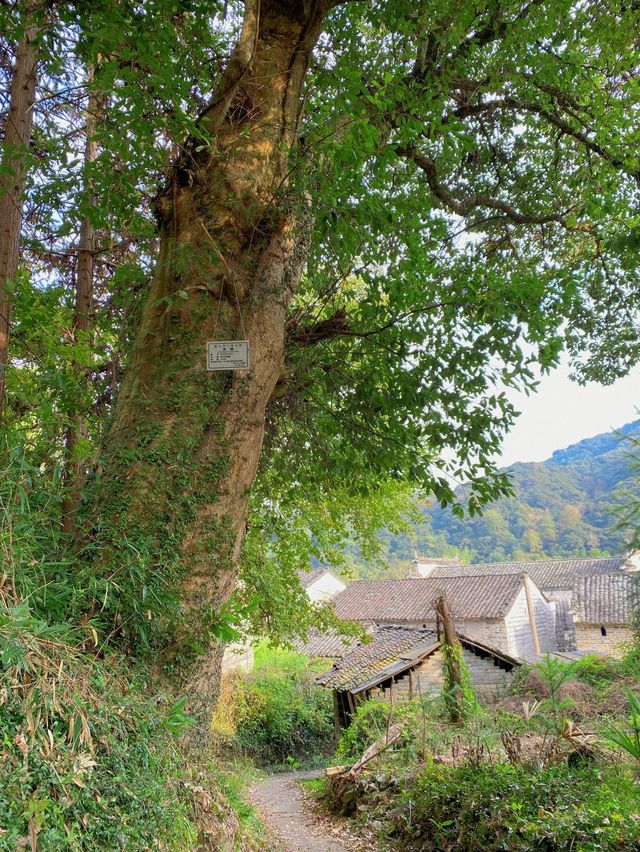 Qi Men, a beautiful place with few people in southern Anhui.