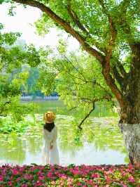 In Kunming, you can always trust the romance of Green Lake Park.