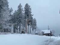Black Forest Snowscape