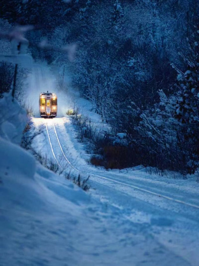 Take you on a tour of global snow scenes! My skiing dream sets sail.