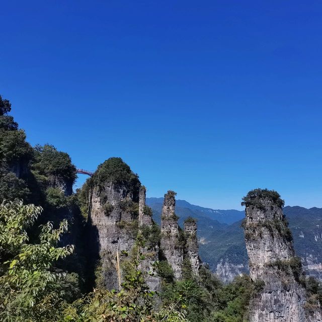 Hubei Yichang Wufeng Tujia Autonomous County Chaibuxi | Chabuxi, a picturesque canyon with three thousand peculiar peaks
