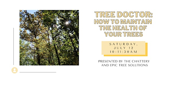 Tree Doctor: How to Maintain the Health of Your Trees | The Chattery Downtown